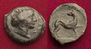 Coin from Segesta